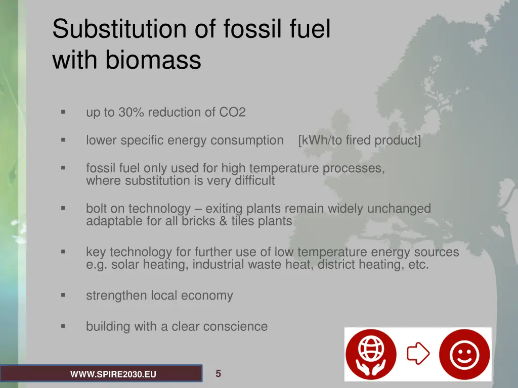 substitution of fossil fuel with biomass