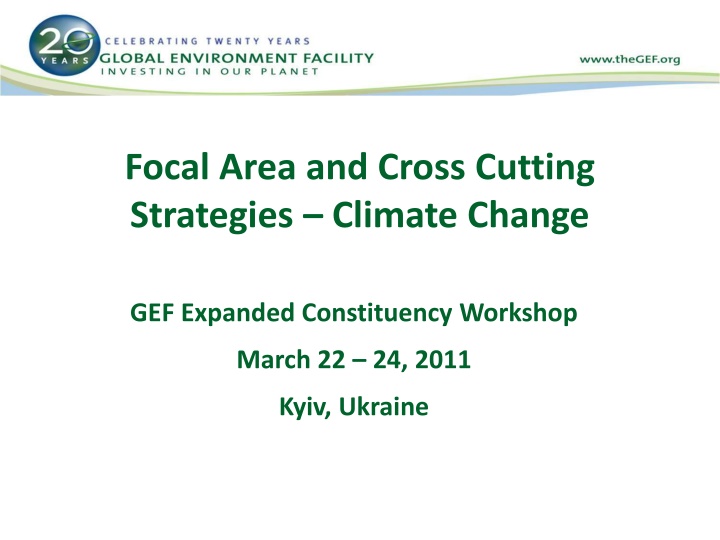 focal area and cross cutting strategies climate