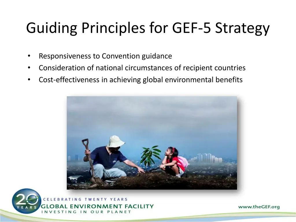 guiding principles for gef 5 strategy