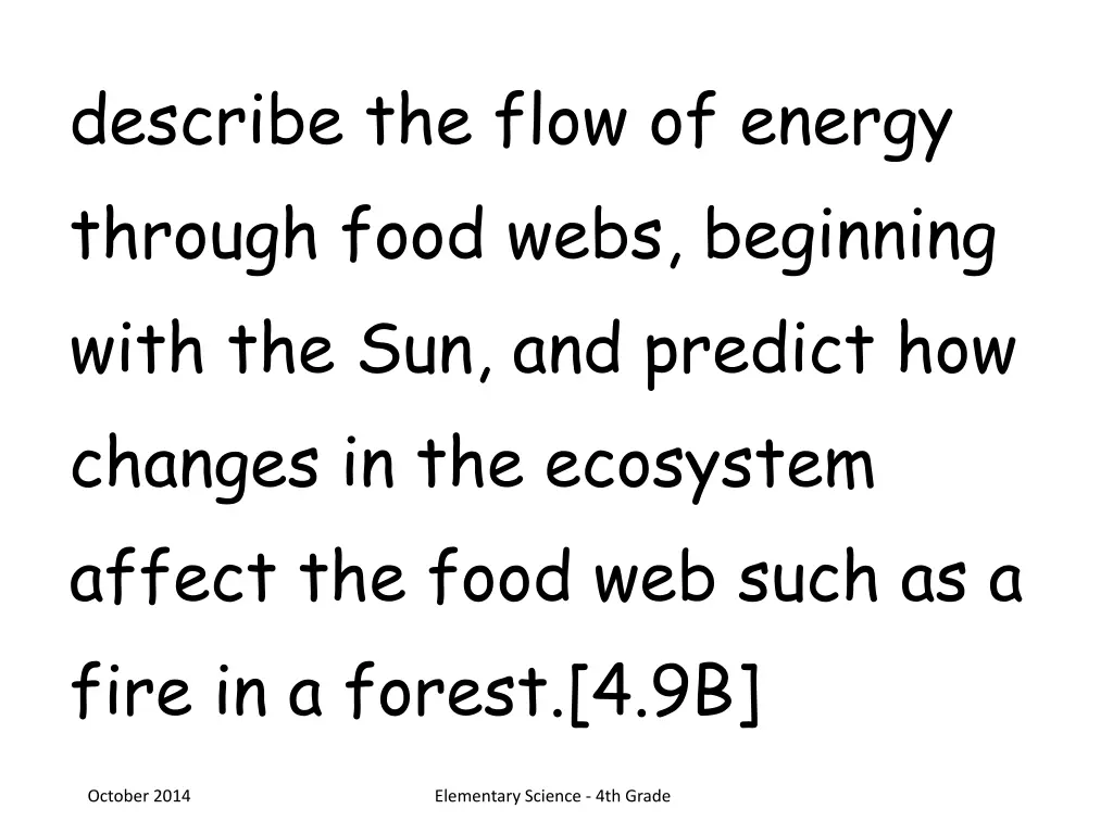 describe the flow of energy through food webs