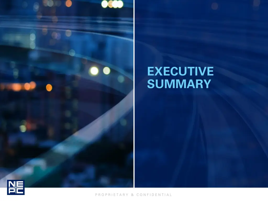 executive summary
