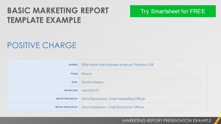 basic marketing report template example