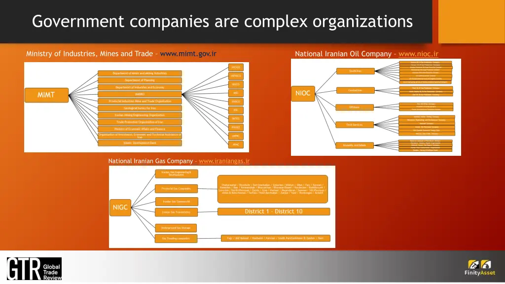government companies are complex organizations