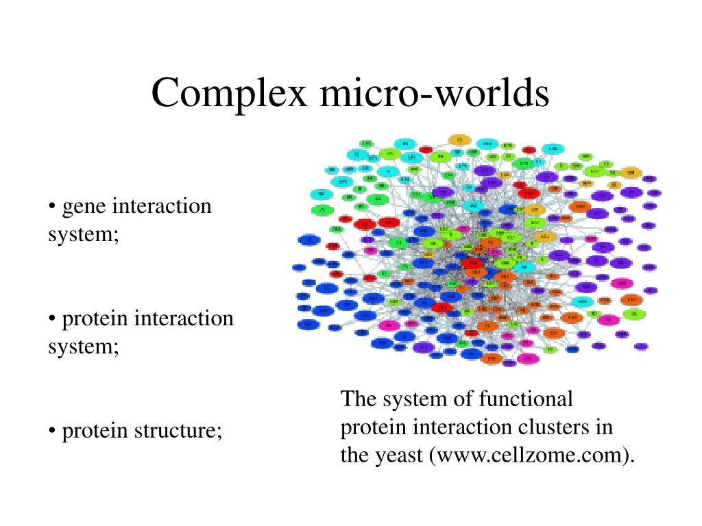 complex micro worlds