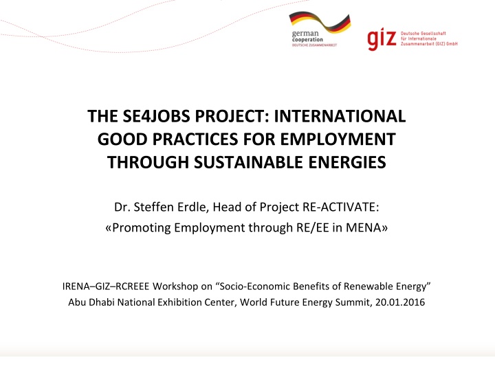 the se4jobs project international good practices