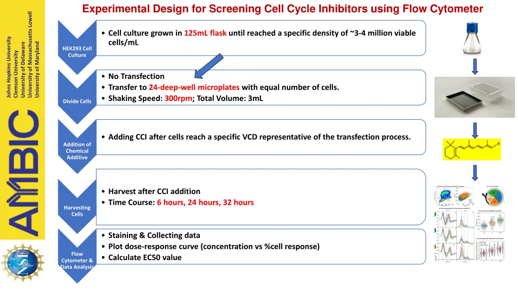 experimental design for screening cell cycle