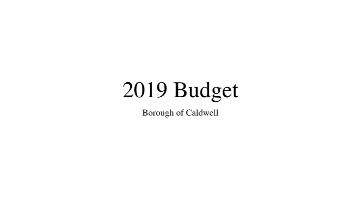 2019 budget