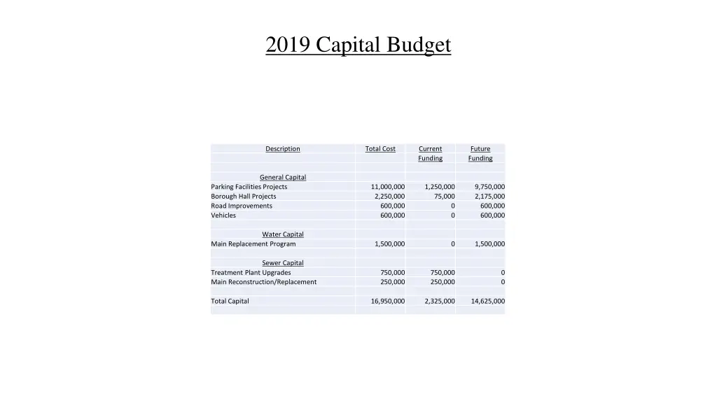 2019 capital budget