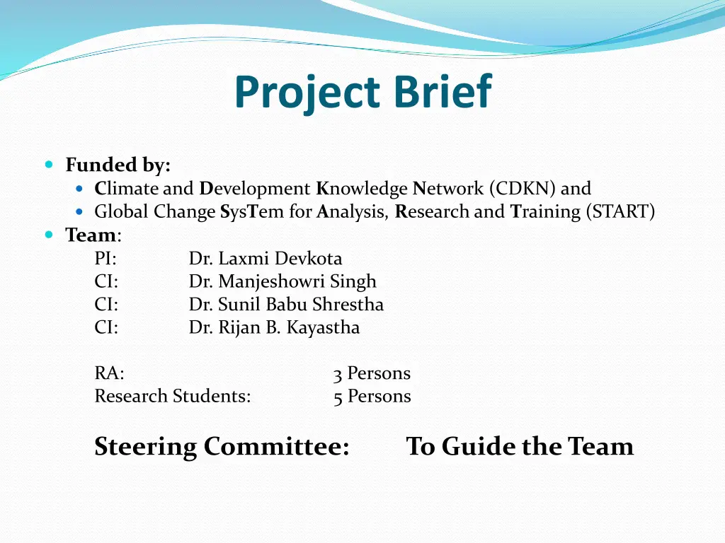 project brief