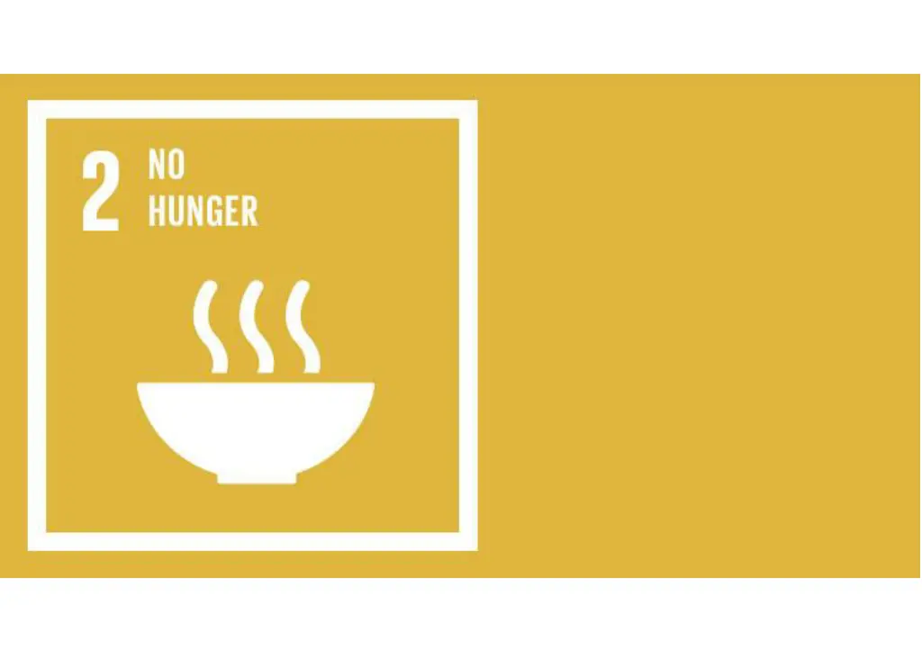 slide6