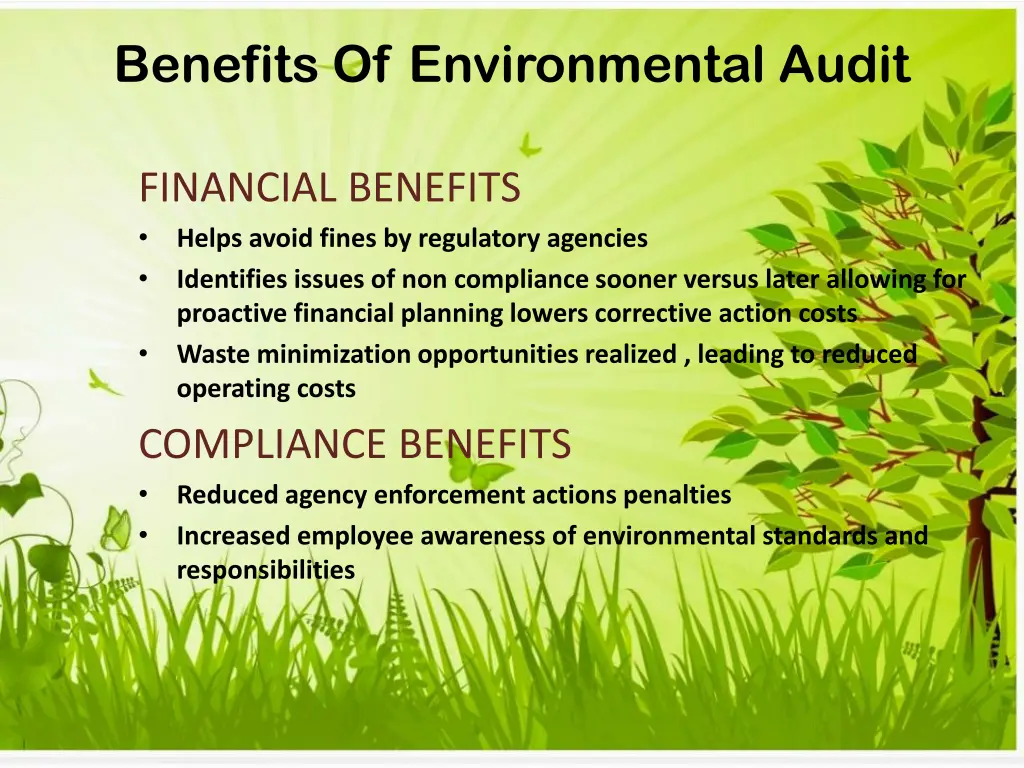 benefits of environmental audit