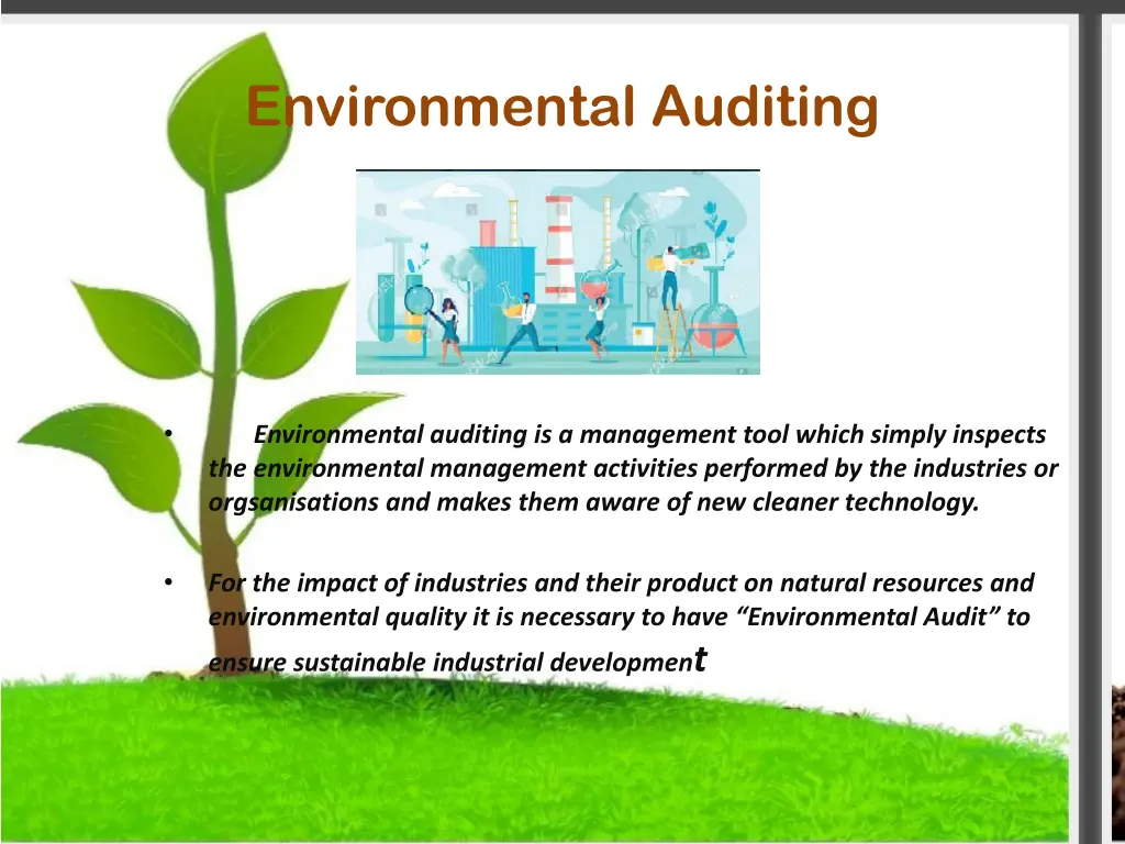 environmental auditing