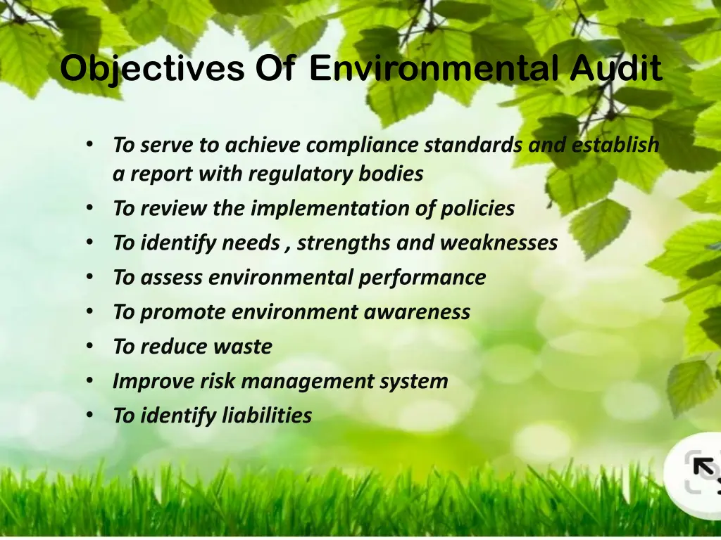 objectives of environmental audit