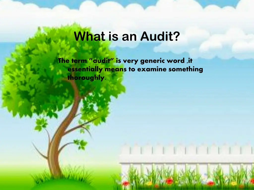 what is an audit