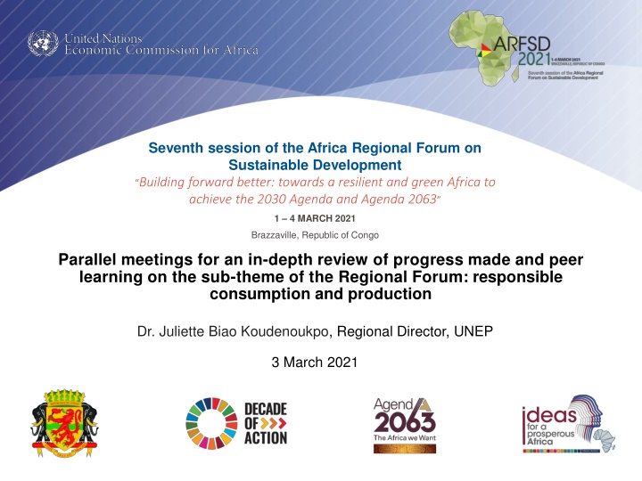 seventh session of the africa regional forum