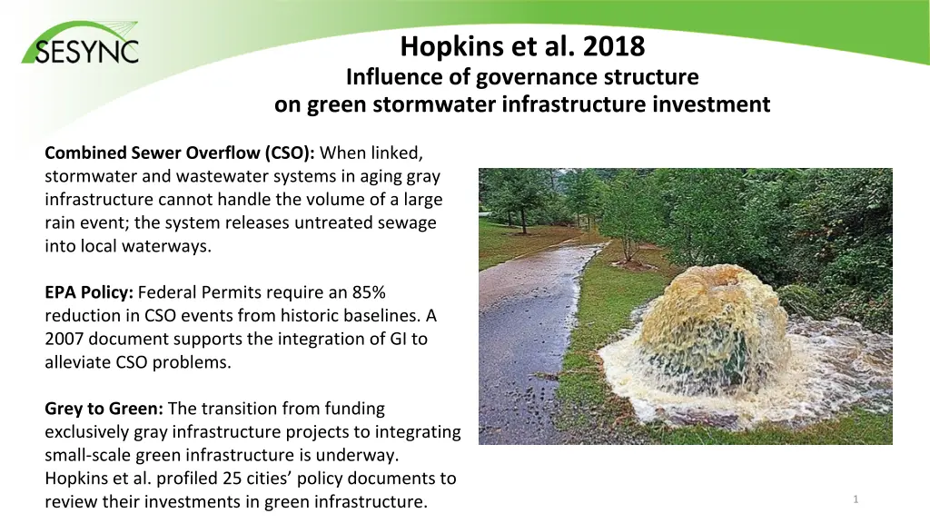 hopkins et al 2018 influence of governance