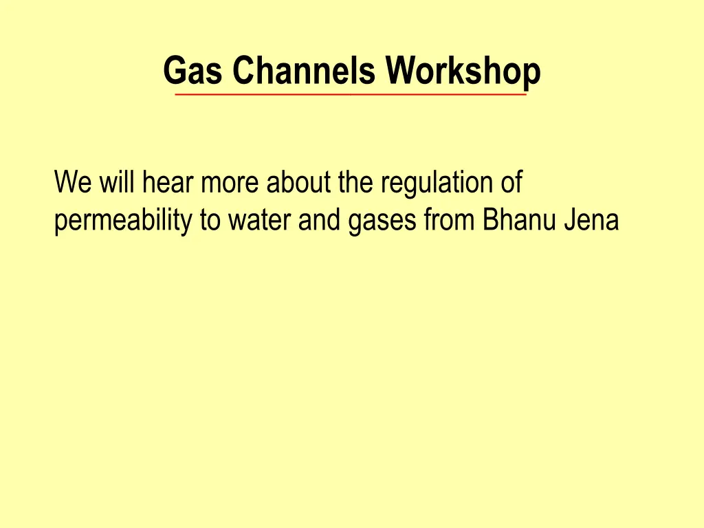 gas channels workshop 2