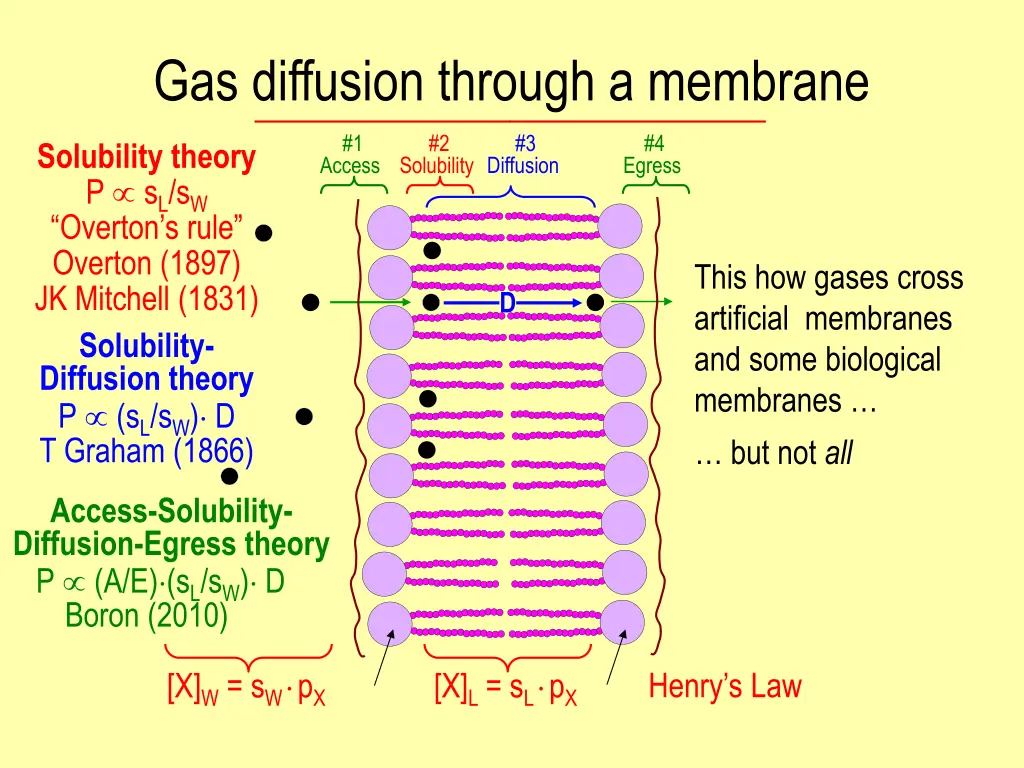 gas diffusion through a membrane