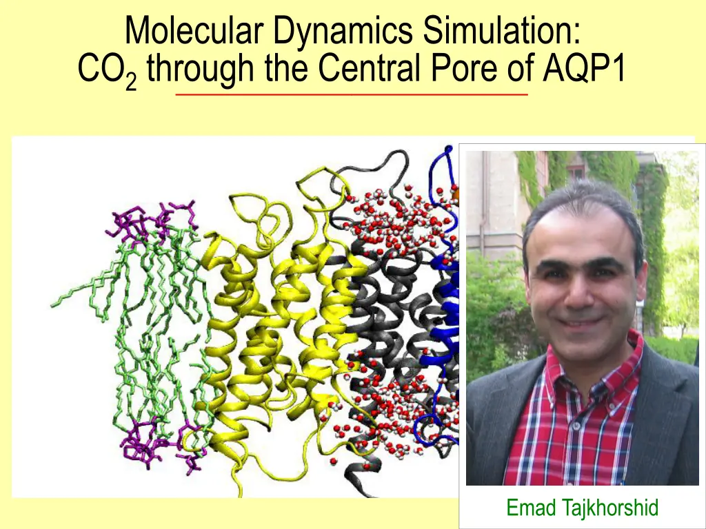 molecular dynamics simulation co 2 through