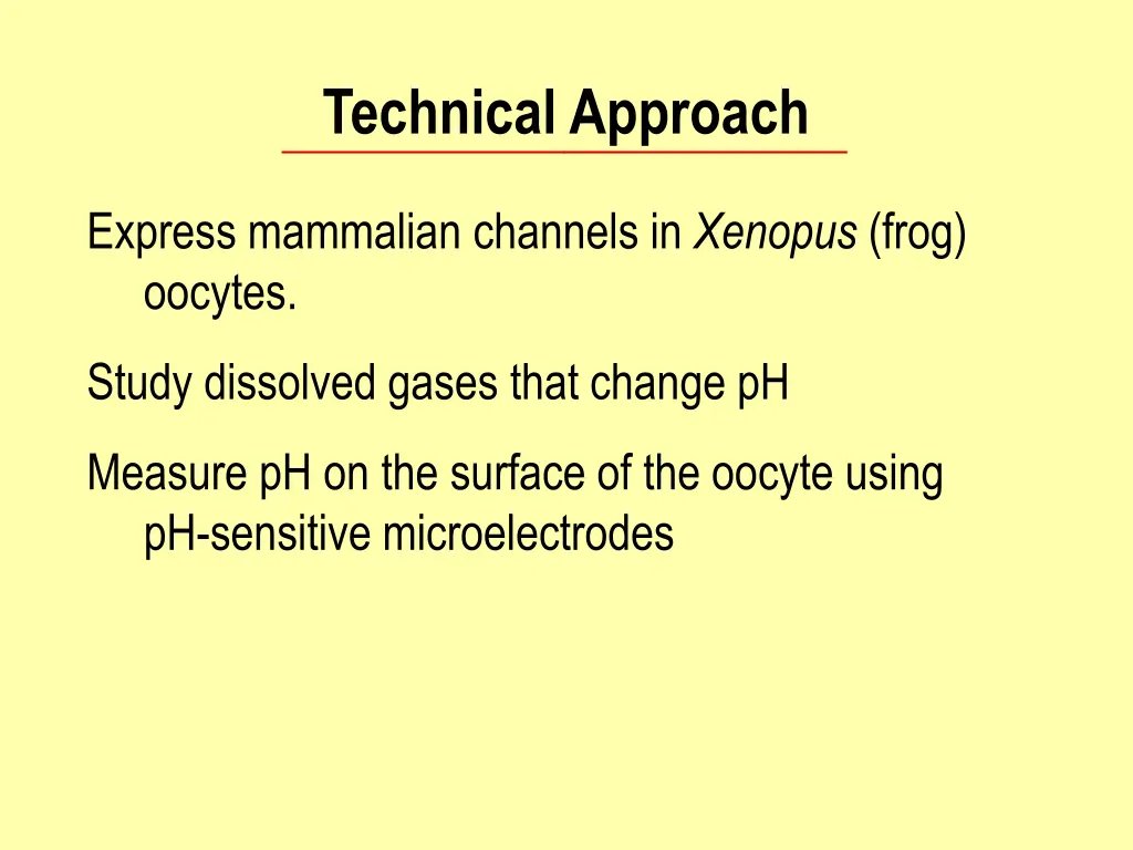 technical approach 1