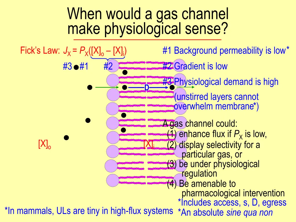 when would a gas channel make physiological sense