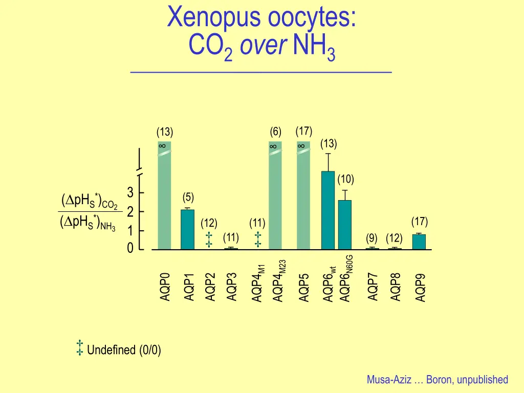 xenopus oocytes co 2 over nh 3
