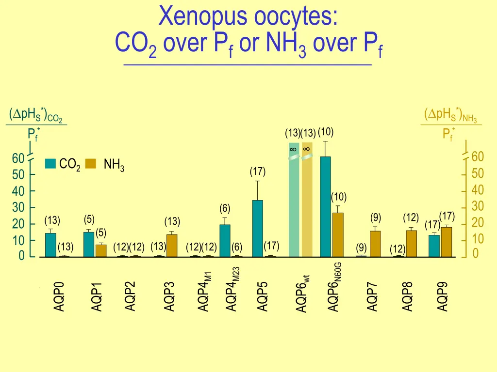 xenopus oocytes co 2 over p f or nh 3 over p f