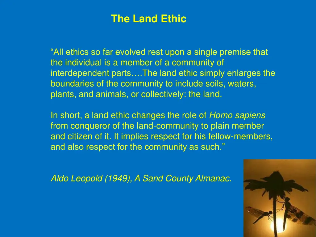 the land ethic