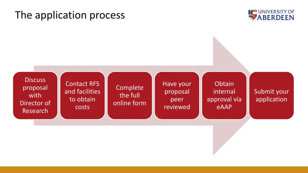 the application process