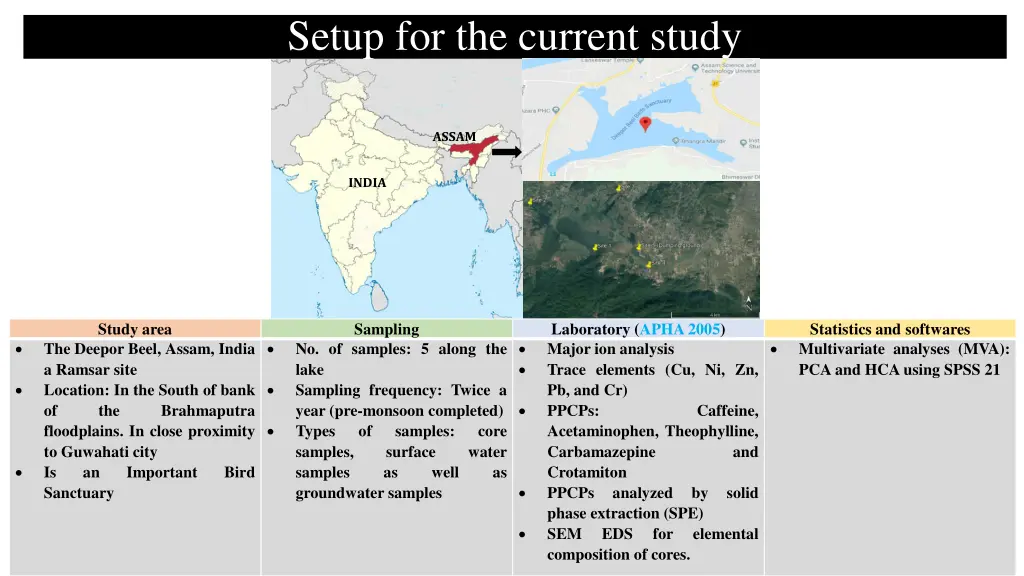 setup for the current study