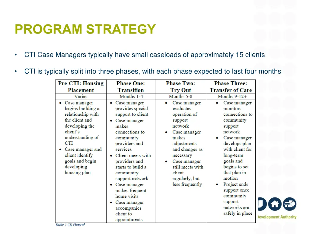 program strategy 1