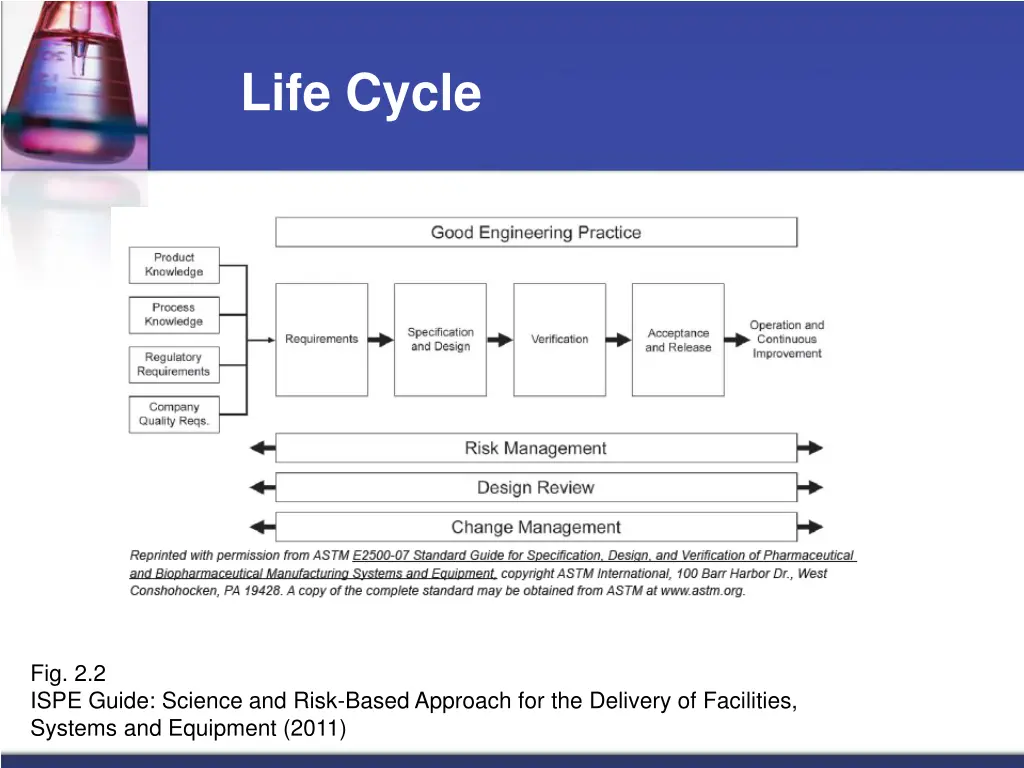life cycle