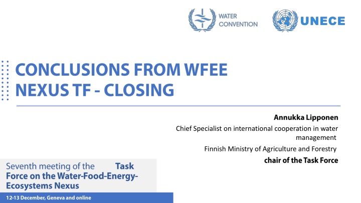 chief specialist on international cooperation
