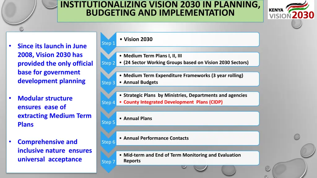 institutionalizing vision 2030 in planning