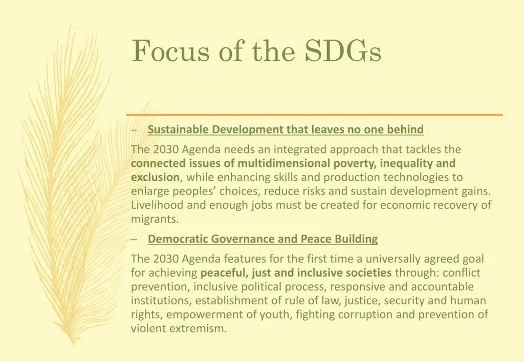 focus of the sdgs
