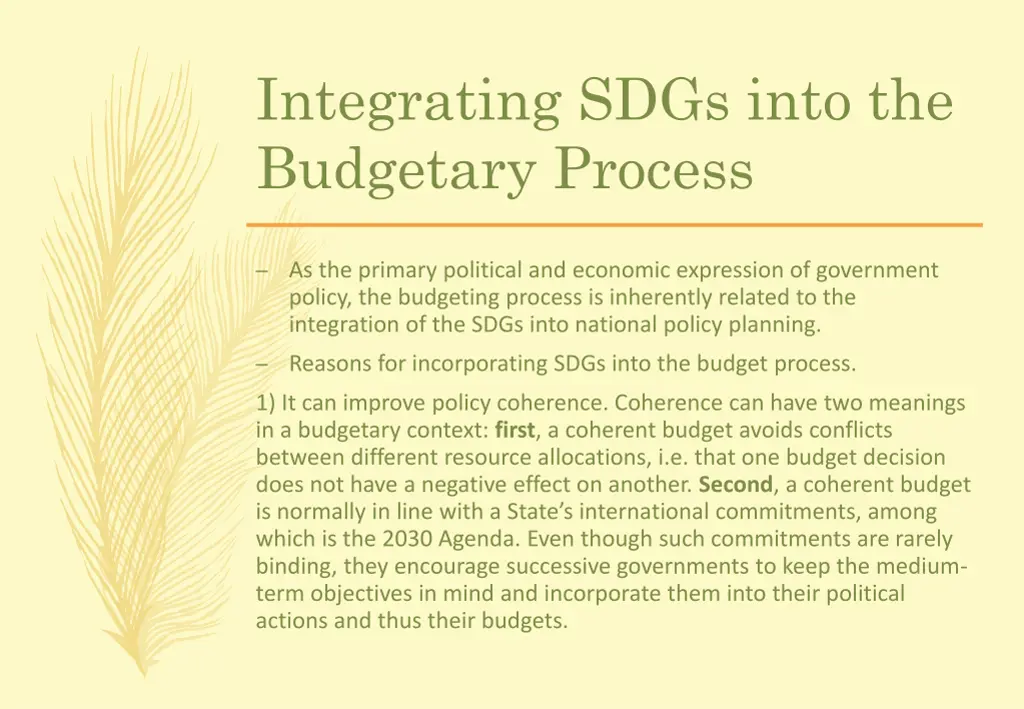 integrating sdgs into the budgetary process