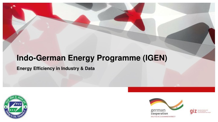 indo german energy programme igen