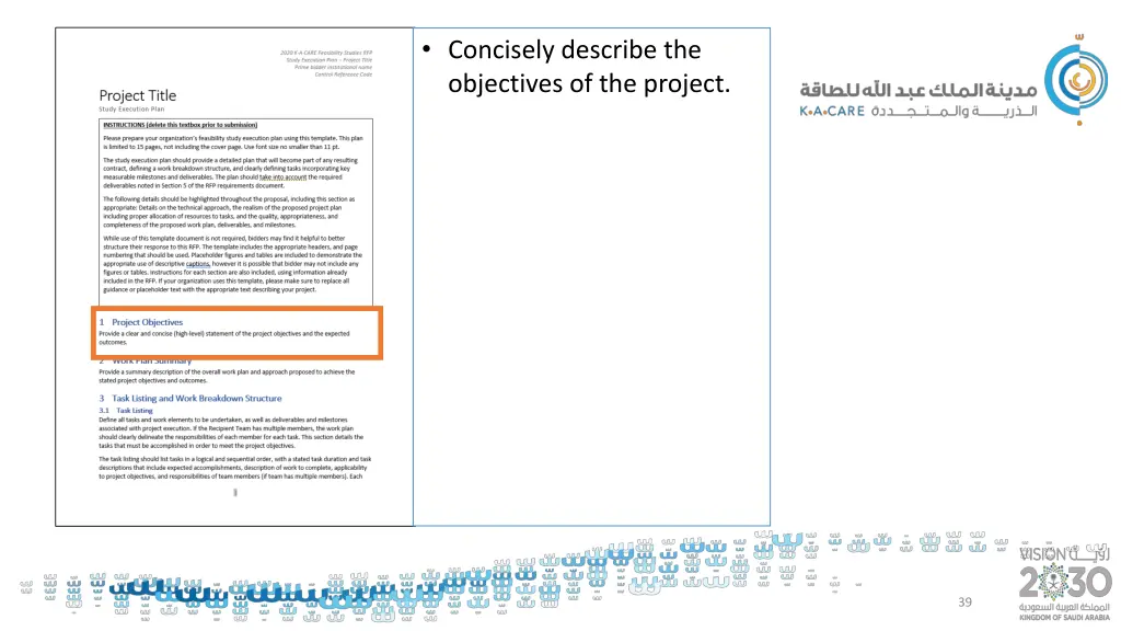 concisely describe the objectives of the project
