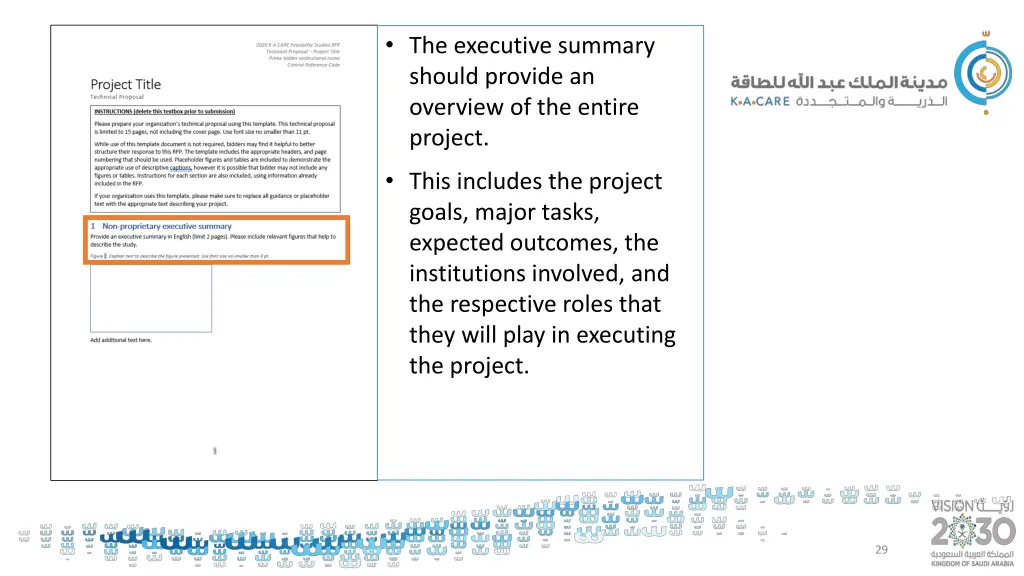 the executive summary should provide an overview
