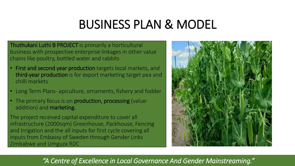 business plan model business plan model