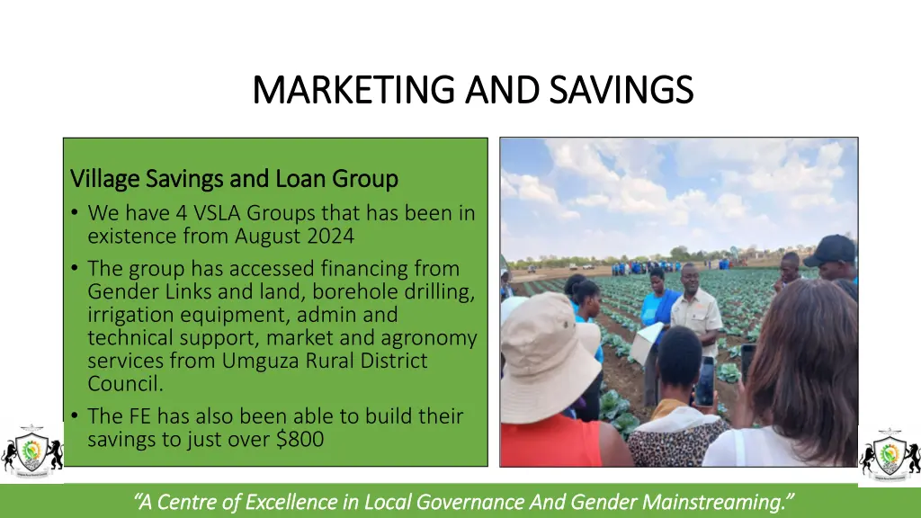 marketing and savings marketing and savings 1