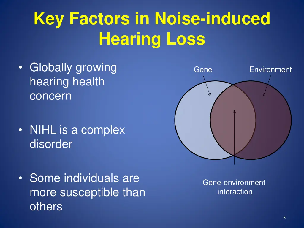 key factors in noise induced hearing loss