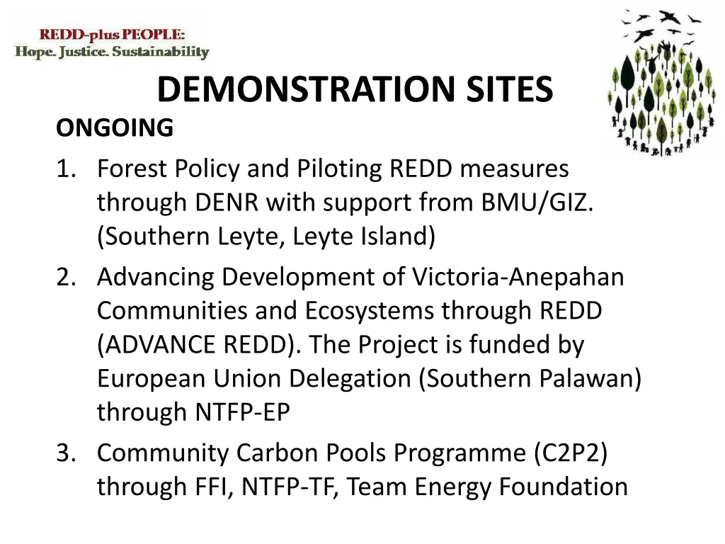 demonstration sites ongoing 1 forest policy