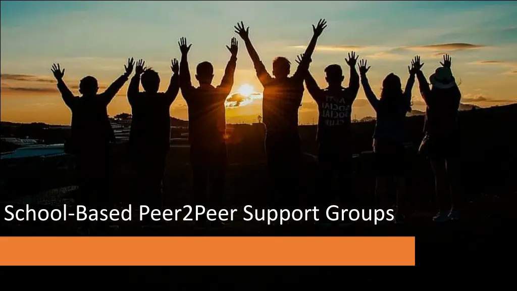 school based peer2peer support groups