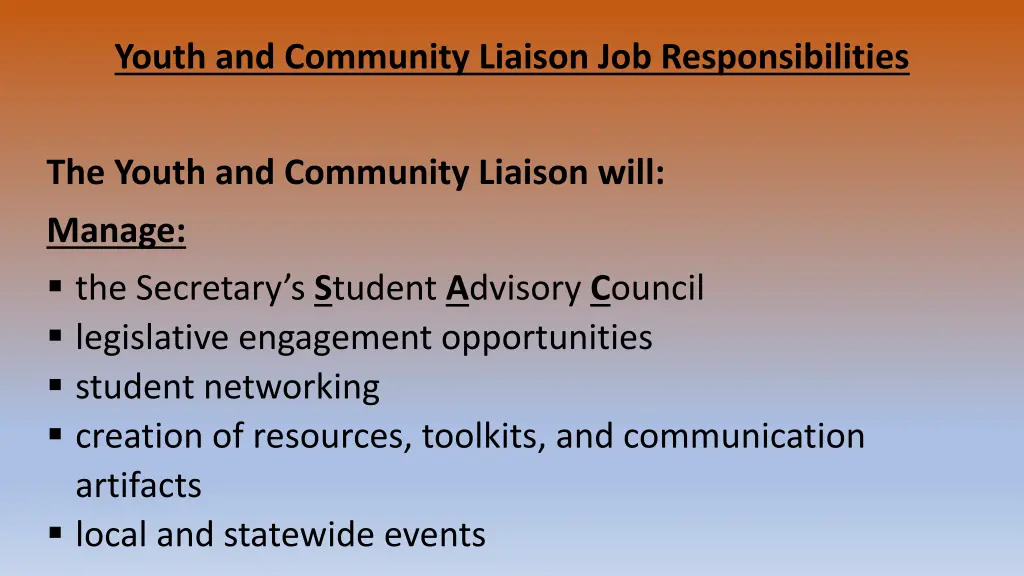 youth and community liaison job responsibilities