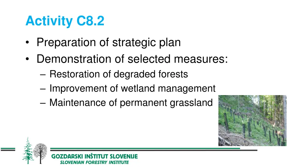 activity c8 2