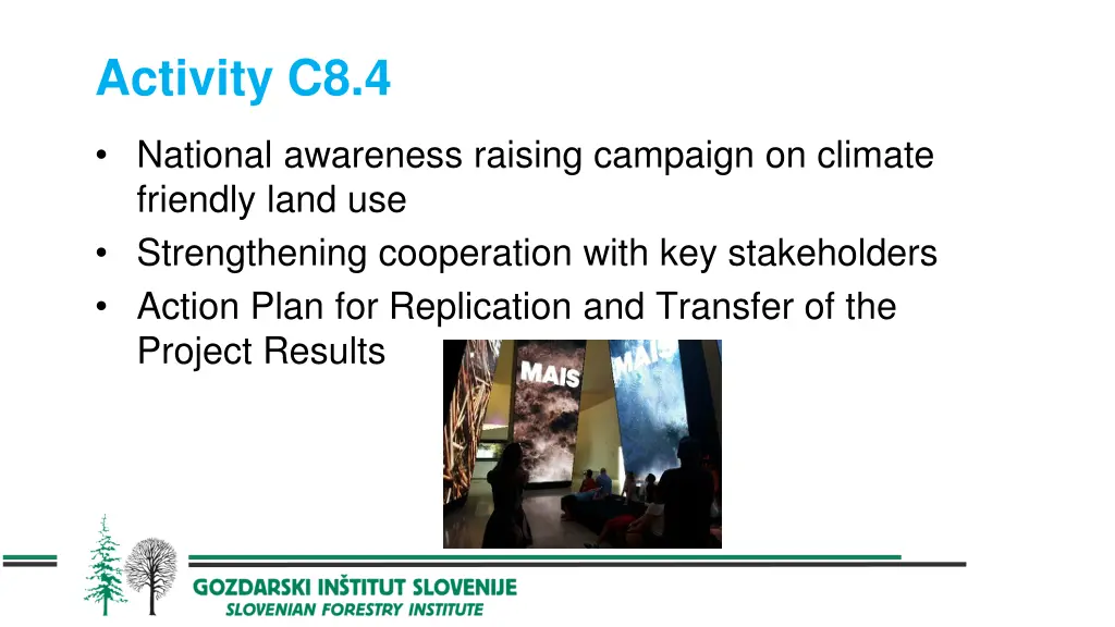 activity c8 4