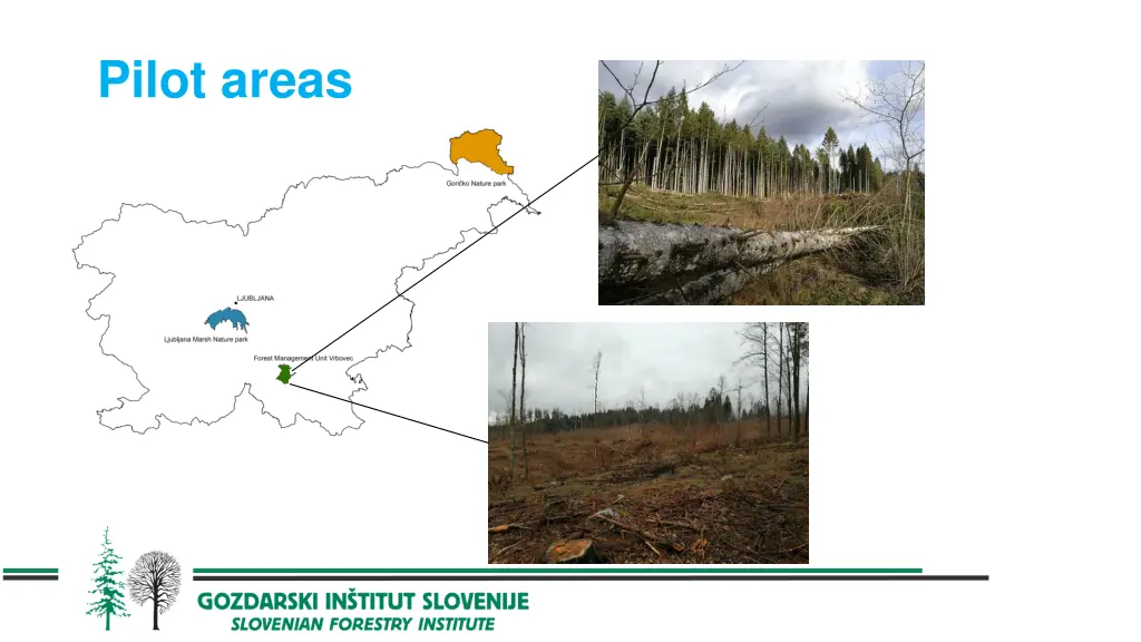 pilot areas