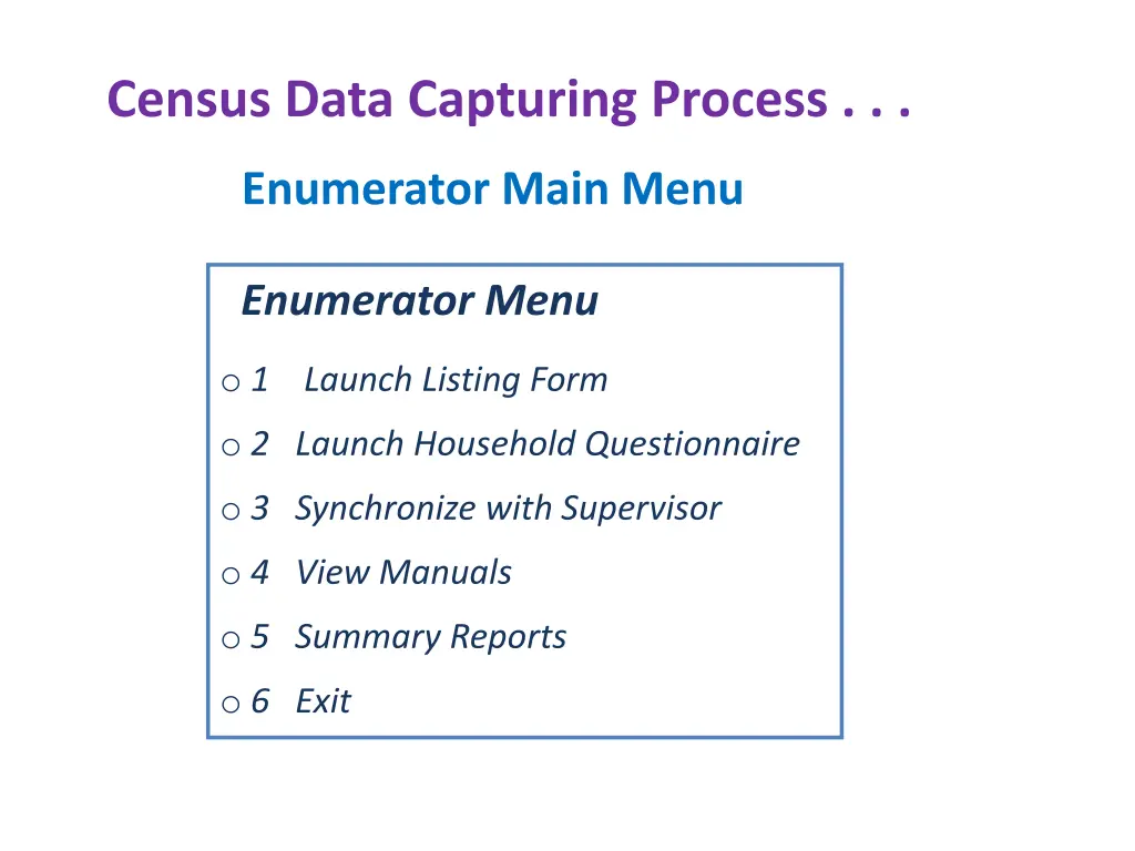 census data capturing process