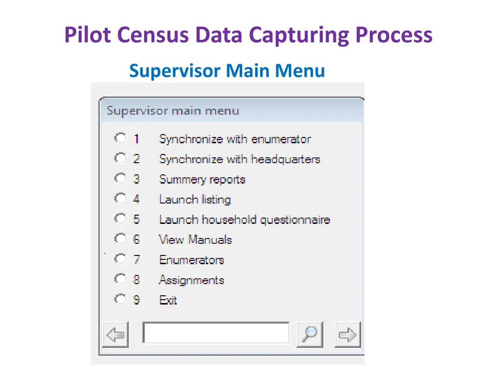 pilot census data capturing process